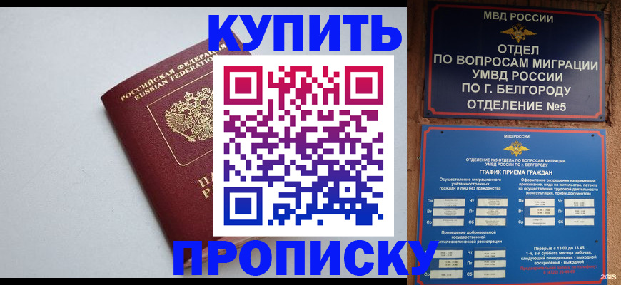 прописка регистрация в Купино